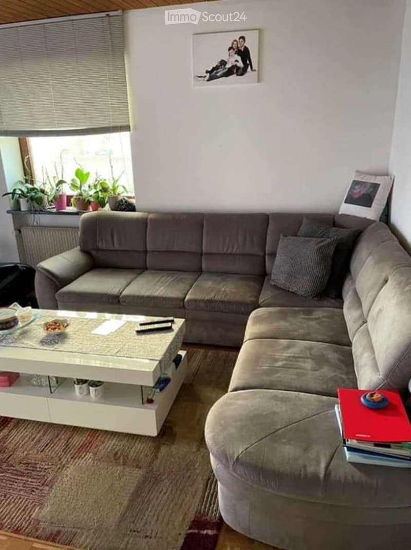 living room, couch, glass table, picture frame, radiator, plants