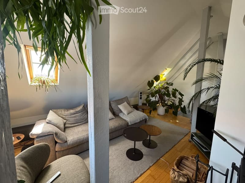 A cozy living room with a grey sectional sofa, a single armchair, coffee tables, a TV stand, and several potted plants. The room features wooden flooring and large windows letting in natural light.