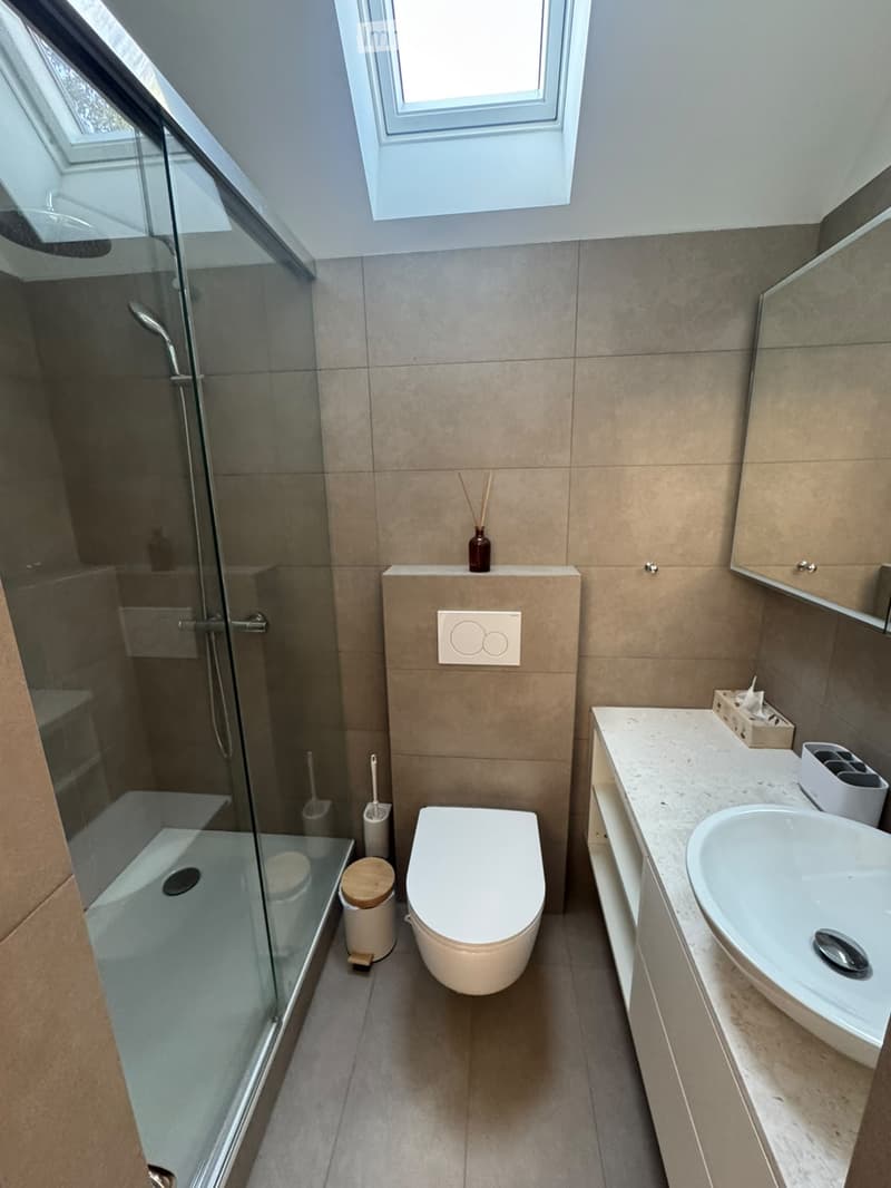 Modern bathroom with a toilet, sink, glass-enclosed shower, and a mirror above the sink. The space features beige tiles and a skylight window for natural light.
