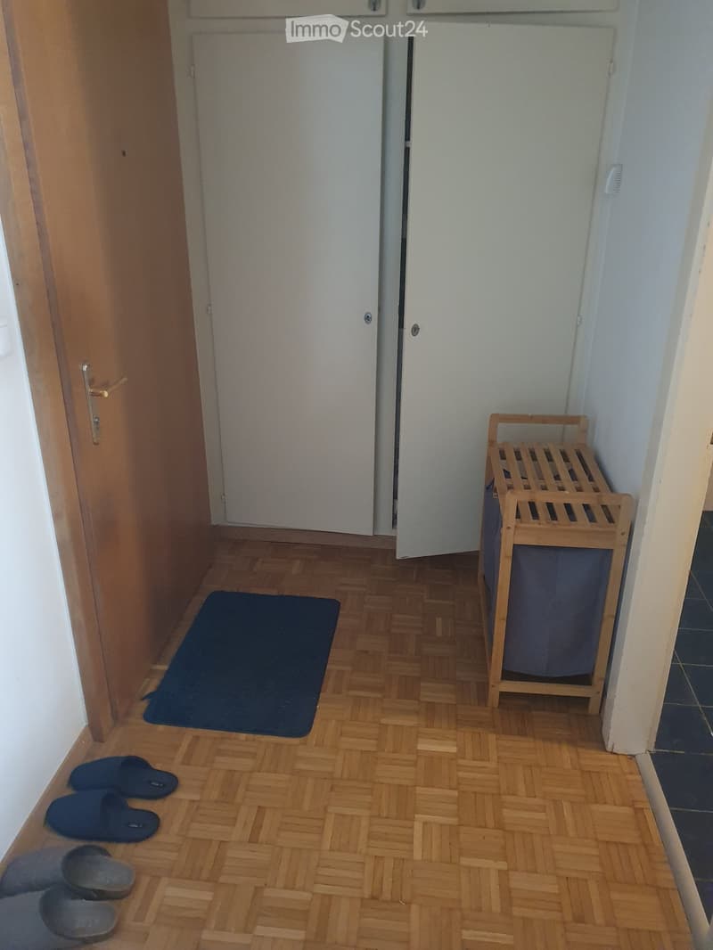 Hallway with wooden flooring, a blue doormat, a pair of slippers, and a small wooden bench with a bag on it.