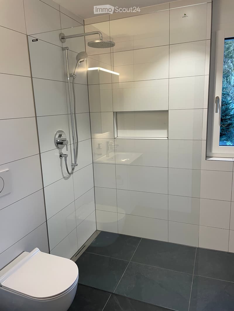 Modern bathroom with white tiles, a toilet, a shower with a handheld sprayer, and a mirrored cabinet.