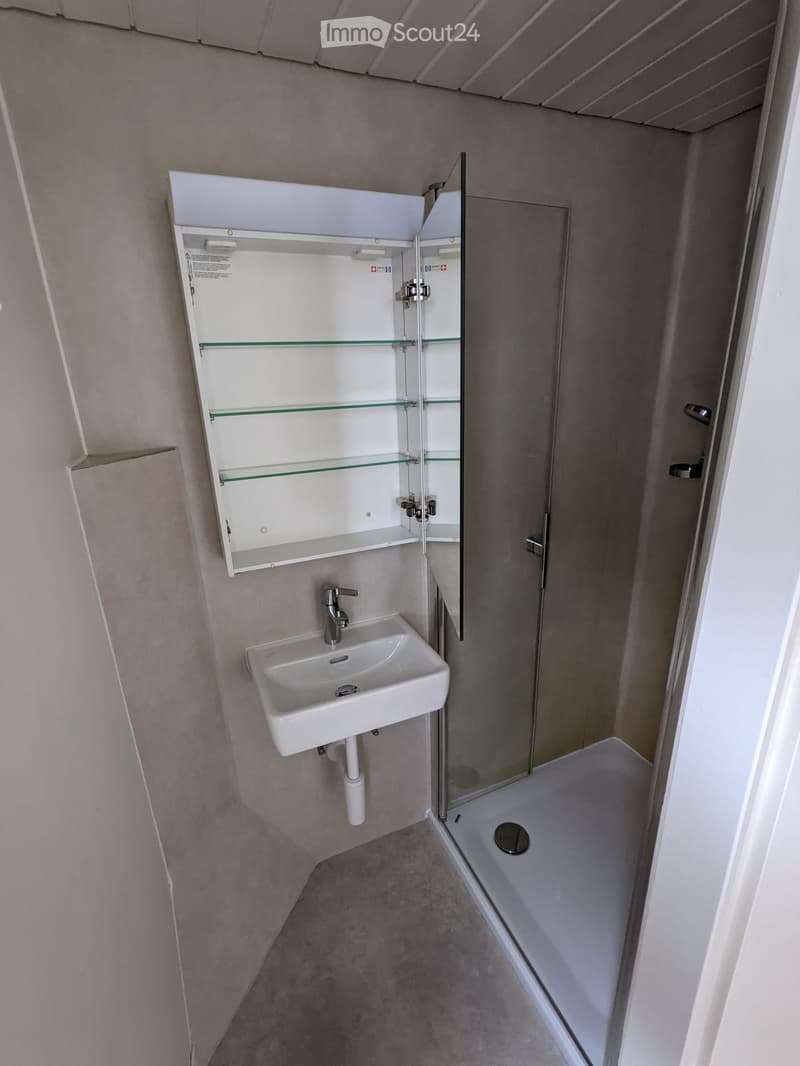 Modern bathroom with a white sink, faucet, mirrored cabinet, bathtub, and glass-enclosed shower area.
