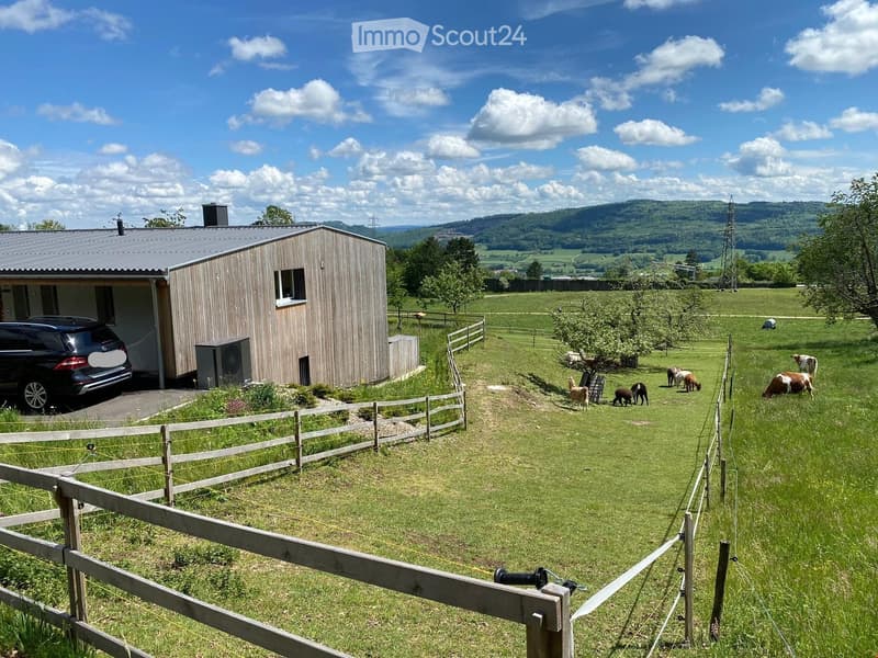A rural farm scene with a wooden house, fenced pasture, and several animals including cows and sheep grazing in a green field.