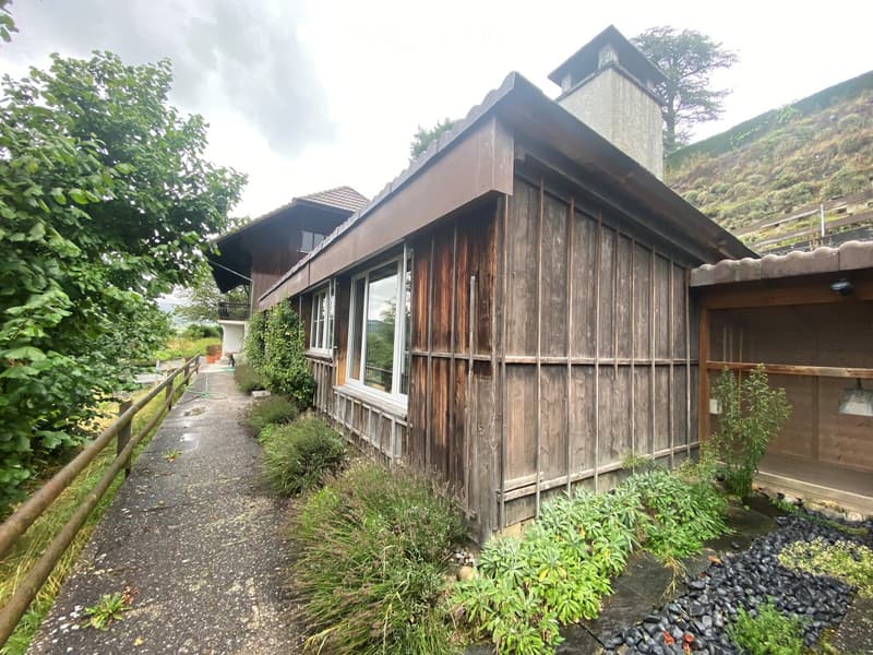 A rustic wooden house with a sloped roof, chimney, and large windows, surrounded by greenery and a gravel pathway.