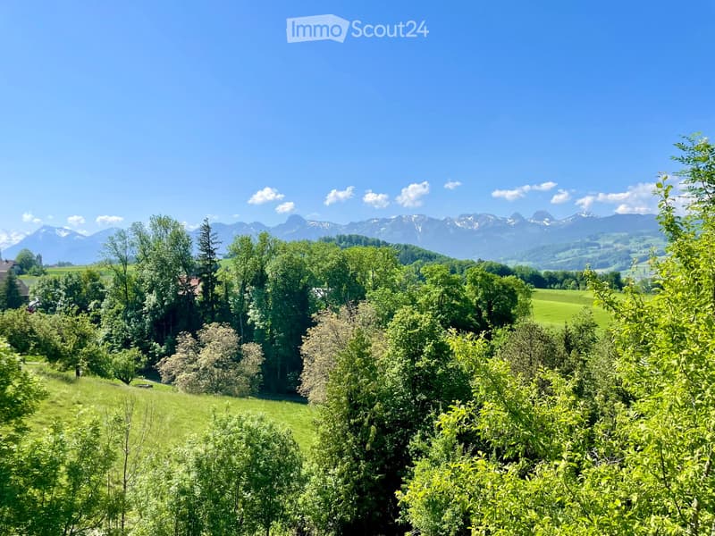 A lush green garden with trees, bushes, and a clear view of distant mountains under a bright blue sky.