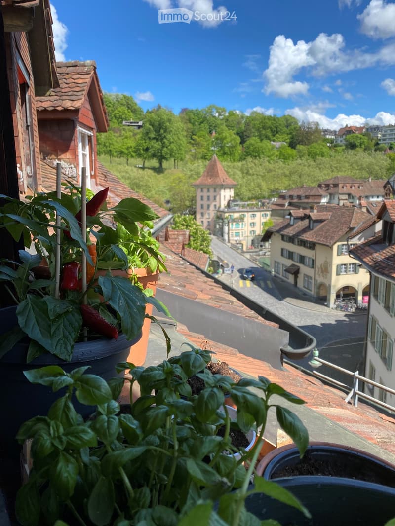 Balcony with potted plants overlooking a scenic town with red-tiled roofs and green hills under a clear blue sky.