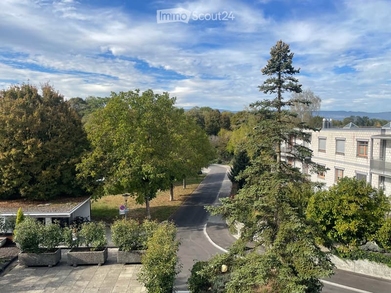 Neu Renovierte 2.5-Zimmer-Altstadtwohnung mit grosser Terrasse (3)