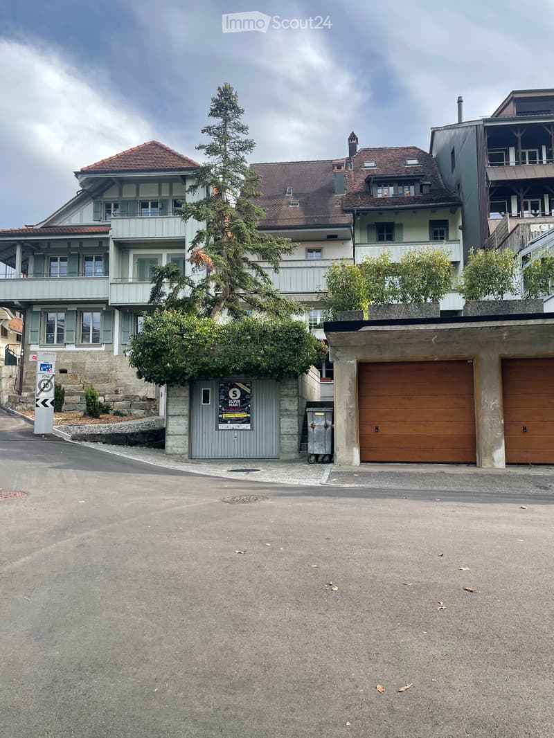 Neu Renovierte 2.5-Zimmer-Altstadtwohnung mit grosser Terrasse (2)