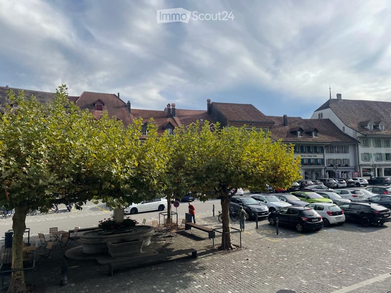 Neu Renovierte 2.5-Zimmer-Altstadtwohnung mit grosser Terrasse (5)