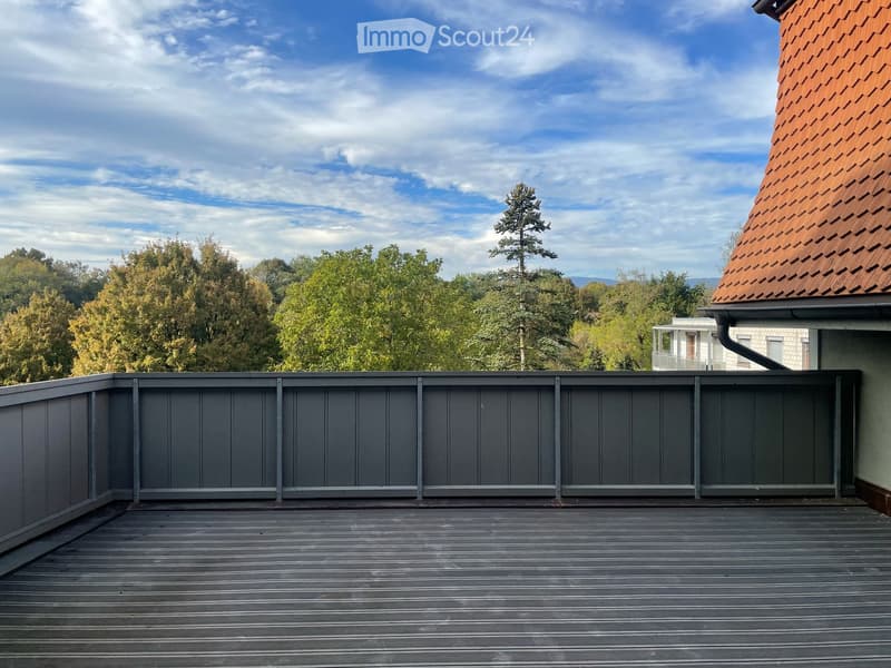 Neu Renovierte 2.5-Zimmer-Altstadtwohnung mit grosser Terrasse (4)