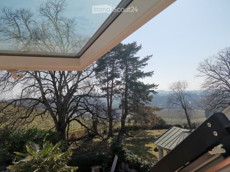 A glass window showing a large garden with deciduous trees, green plants, and a shed with a small roof. A larger roof appears on the right.