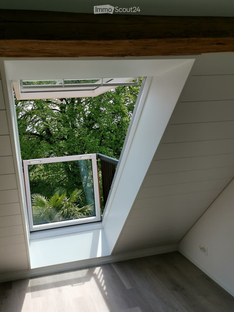 attic room, wooden floor, white walls, skylight window, small balcony
