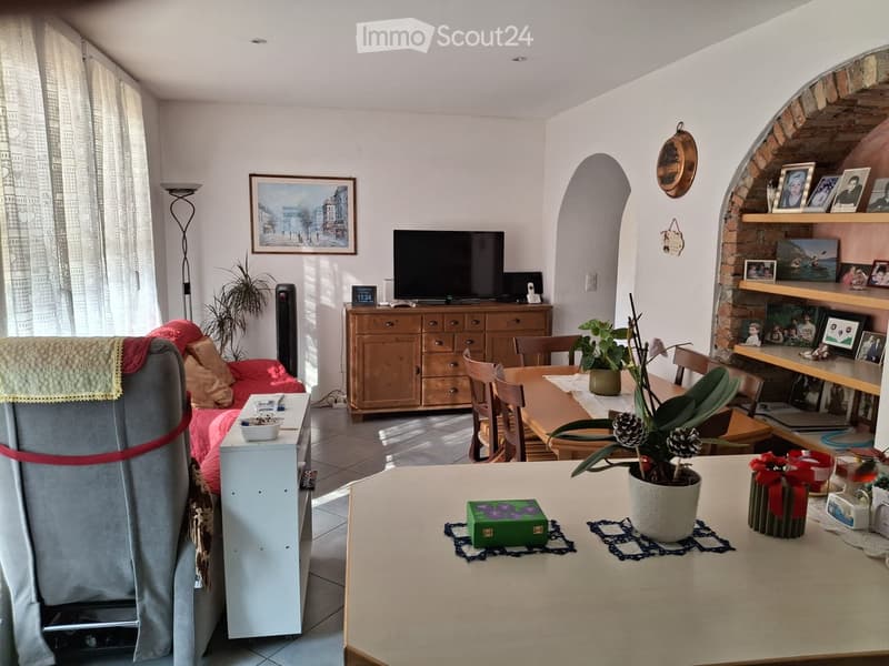 A cozy living room with a sofa, a coffee table, a dining table, chairs, a television, a cabinet, and decorative plants and picture frames.