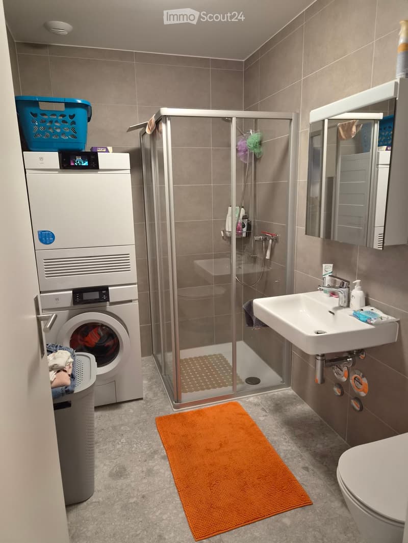 Modern bathroom with a washing machine, shower, sink, toilet, and a mirror. Includes a bathroom rug and laundry basket.