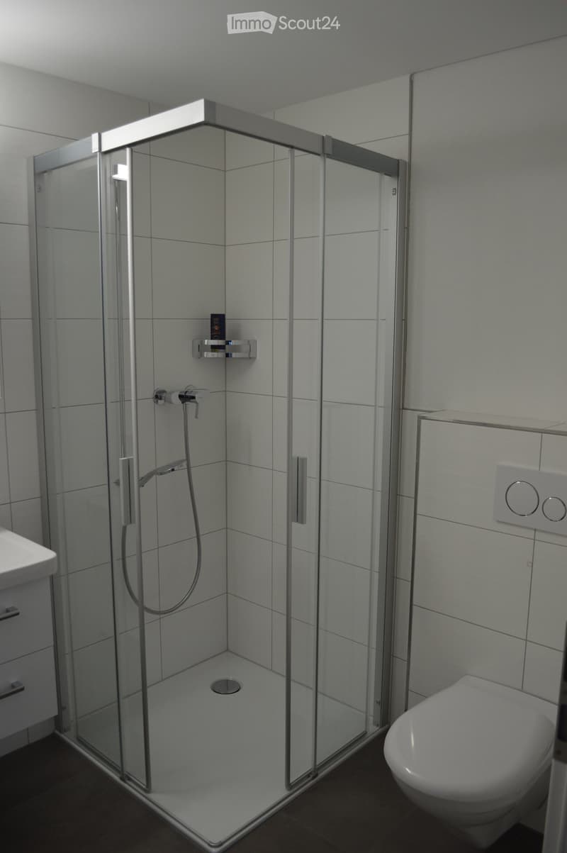 Modern bathroom with a glass-enclosed shower stall, a toilet, a faucet, and a small shower shelf holding a bottle.