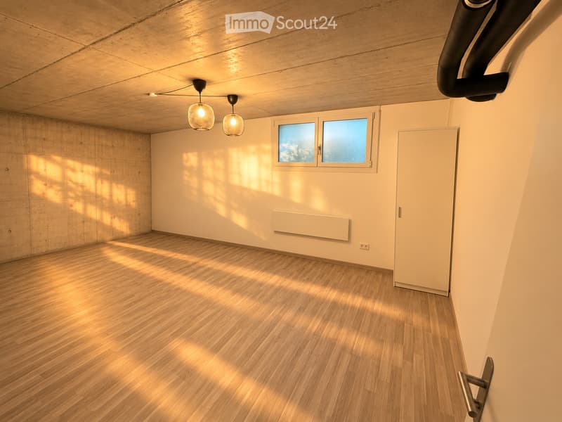 Empty room with wooden flooring, white walls, and a large window allowing natural light. The room features a modern design with a sleek door and pendant lights.