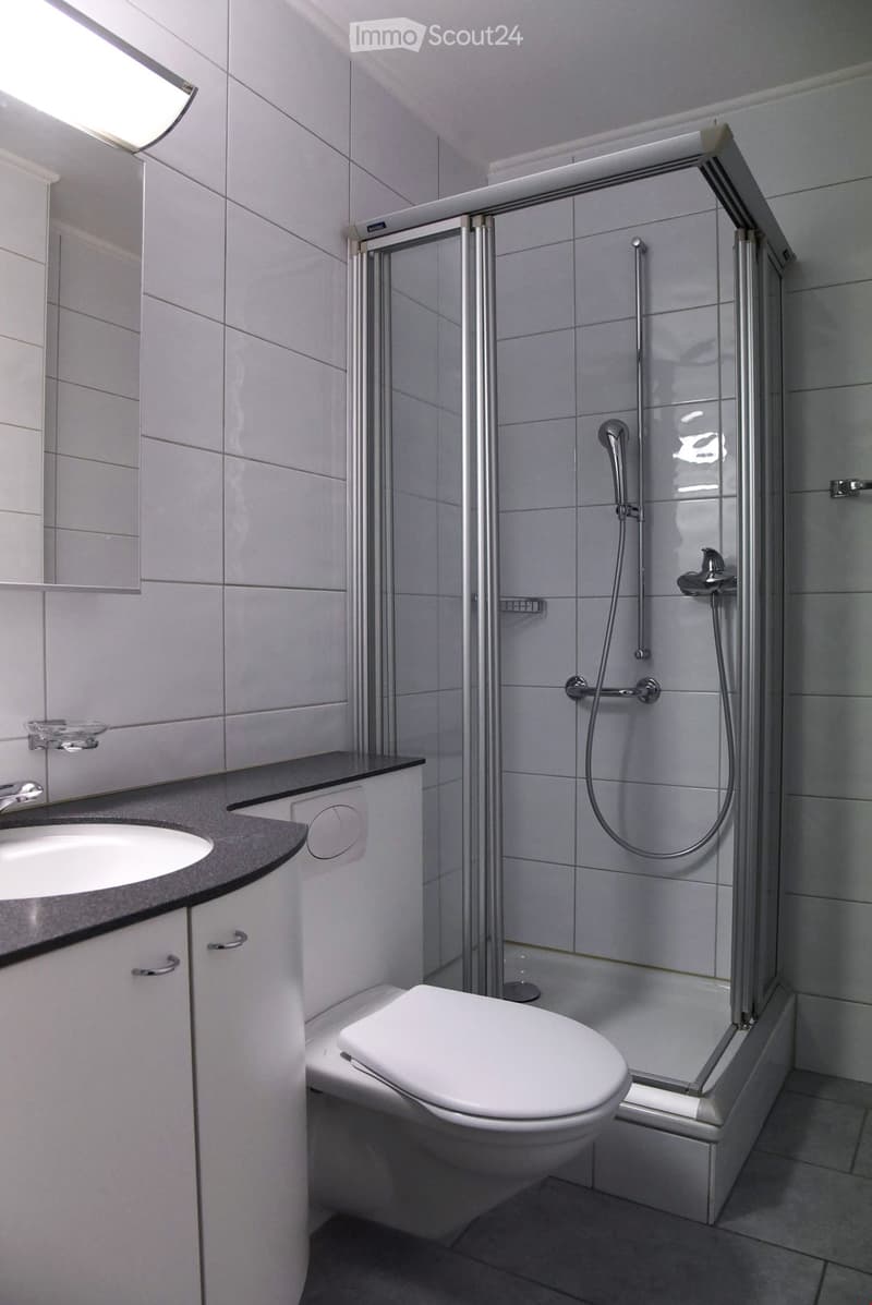 Modern bathroom with white tiles, a glass-enclosed shower, a toilet, a sink with a cabinet, and a mirror above the sink.