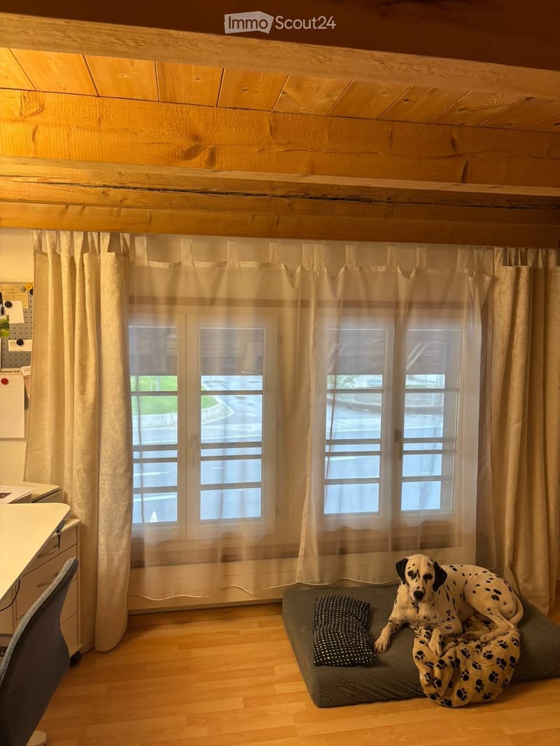 A cozy room with wooden beams and a dog bed in the center, featuring a dog resting on it. The room has large windows with sheer curtains, a desk with a chair, and a pegboard on the wall.