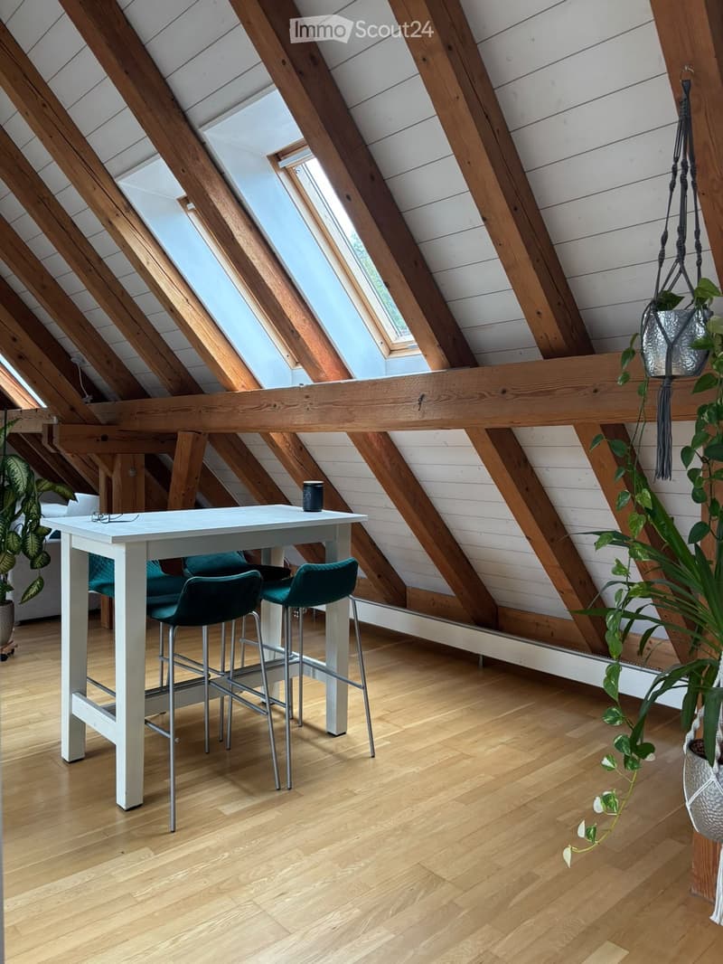 Loft-style room with exposed wooden beams, skylights, a white table with four green stools, and hanging plants.