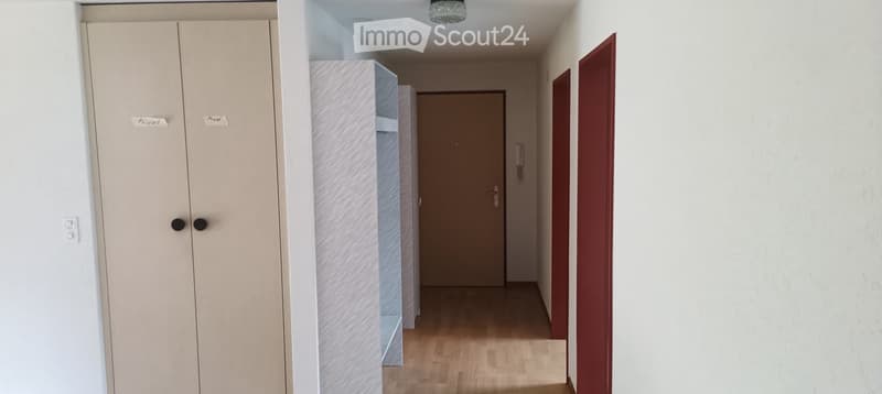 A narrow hallway with wooden flooring, white walls, and several doors including a closet and a room entrance. A small shelf is visible on the left side.