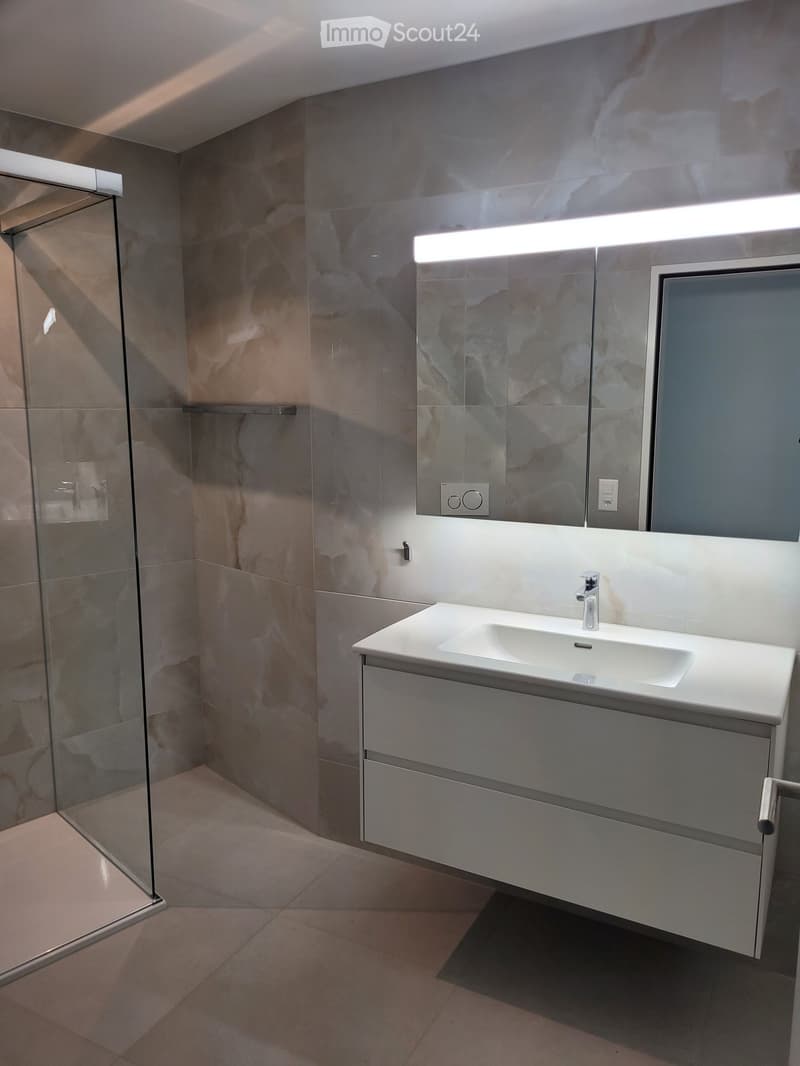 Modern bathroom with a white sink, chrome faucet, and built-in cabinet. Features a glass shower enclosure with marble tiles and a large mirror with integrated lighting.