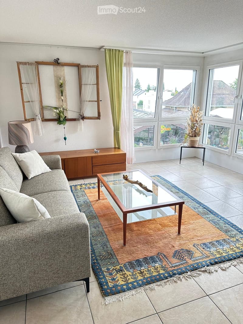 Bright living room with large windows, a grey sofa, a glass coffee table, a side table with a plant, a wooden cabinet, and a patterned rug.