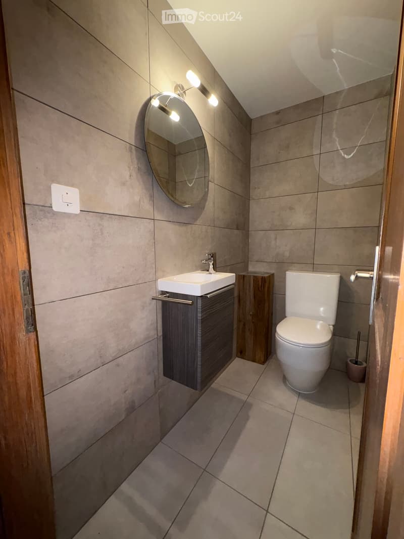 Modern bathroom with a white sink, dark wooden cabinet, toilet, round mirror, and built-in lighting.