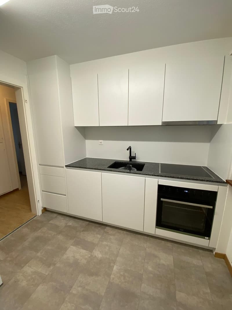 white kitchen cabinets, granite countertops, black sink, built-in dishwasher, oven
