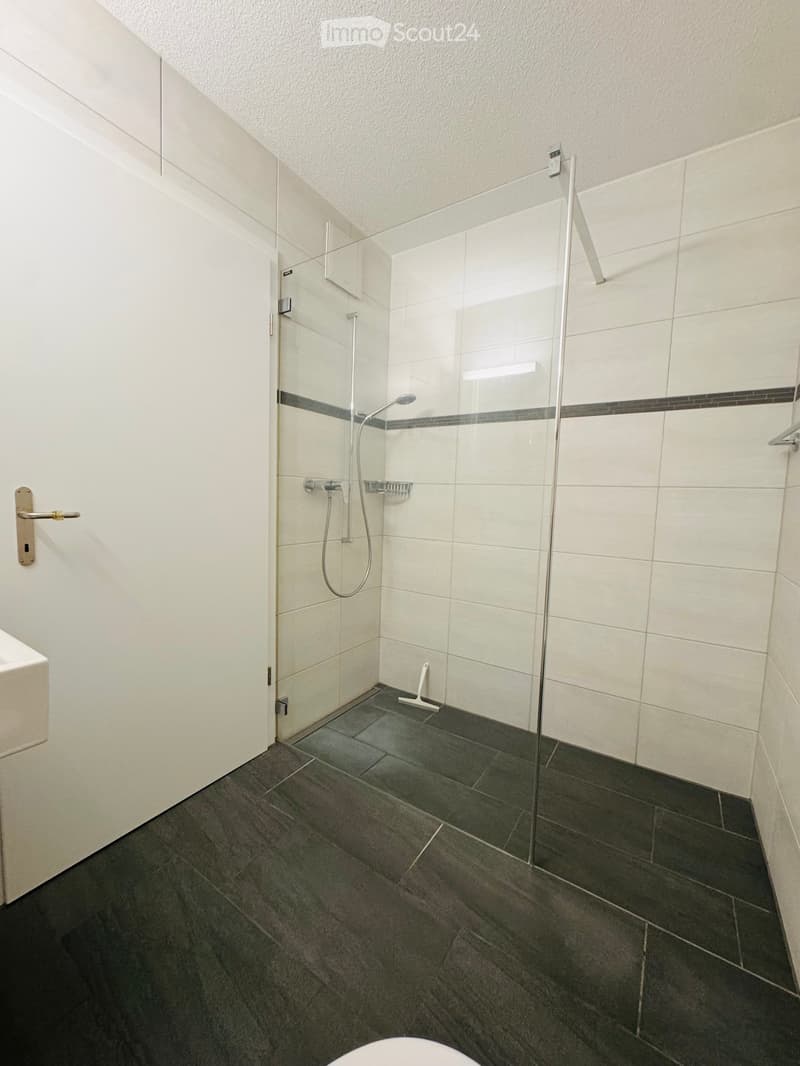 Modern bathroom with a glass-enclosed shower, dark tiled floor, white tiled walls, and a shower handle.