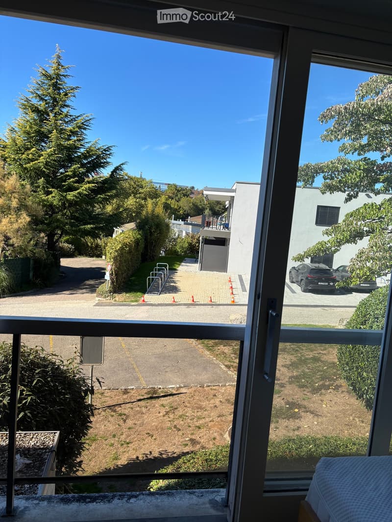 Balcony overlooking a residential area with trees, parked cars, and a paved driveway.