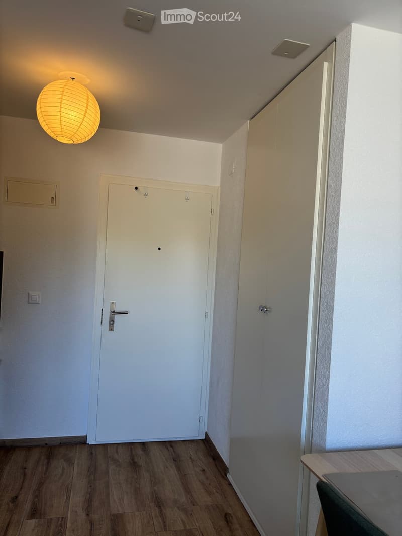 A narrow hallway with wooden flooring, white walls, and a single hanging lantern light fixture. There is a closed white door on the left and a partially visible cabinet on the right.
