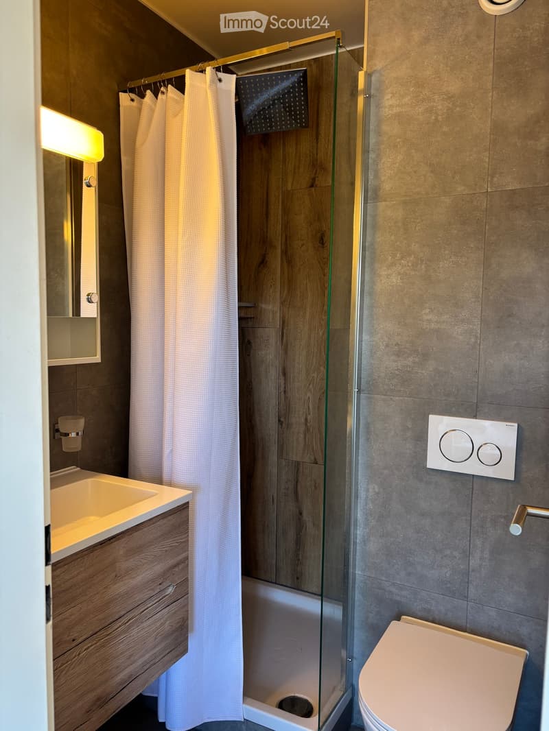 Modern bathroom with a wooden vanity, sink, mirror, toilet, and a glass-enclosed shower with a white curtain.