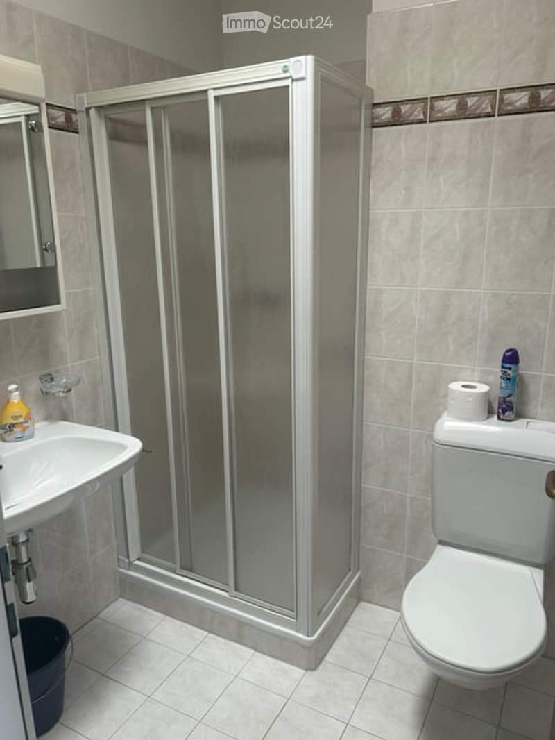 Modern bathroom with a white tiled shower enclosure, a sink with a mirror, and a toilet. Cleaning supplies are placed on the sink counter.
