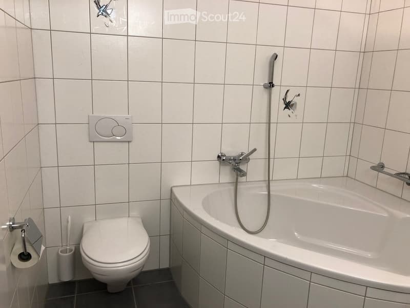Modern bathroom with white tiled walls, a bathtub with a handheld shower, a toilet, and a toilet paper holder.