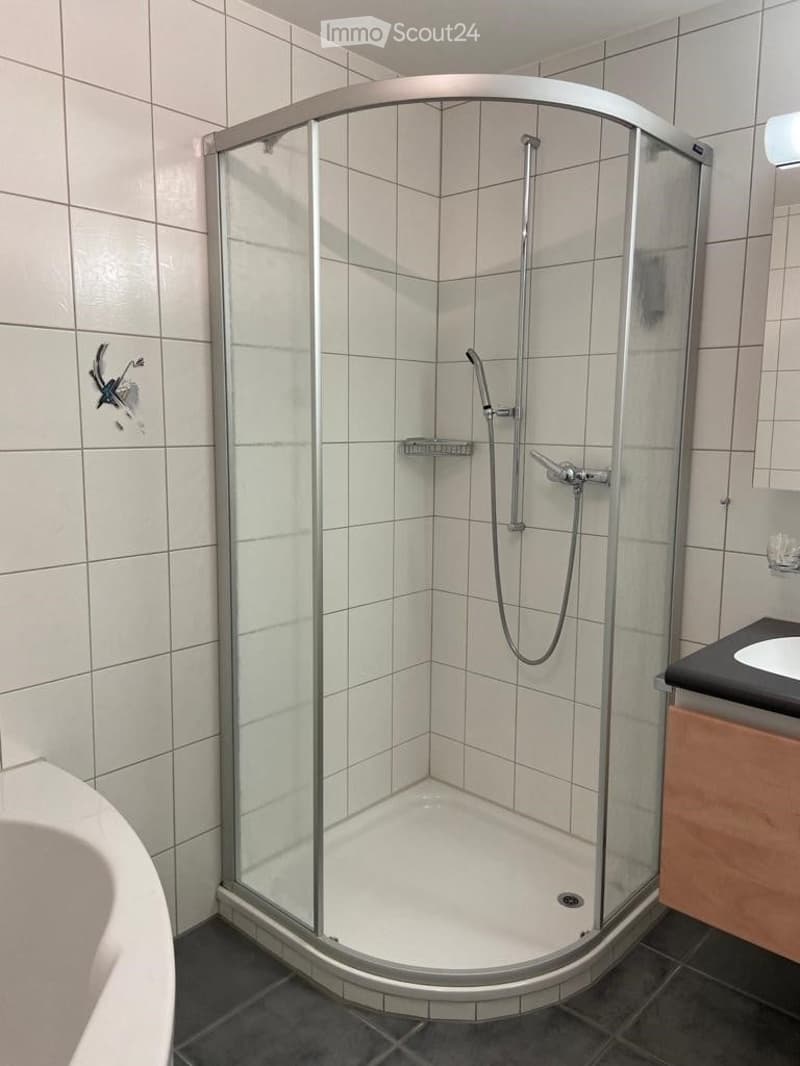 Modern bathroom with a glass-enclosed shower stall, bathtub, sink, and wooden cabinet.