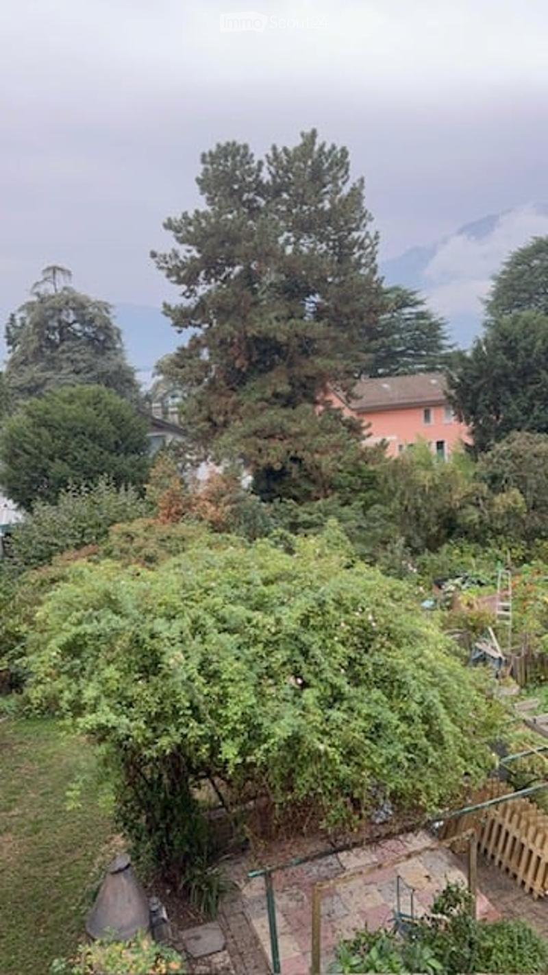 A lush garden with tall trees, shrubs, and a small patio area with a wooden fence. The background shows a house and distant mountains.