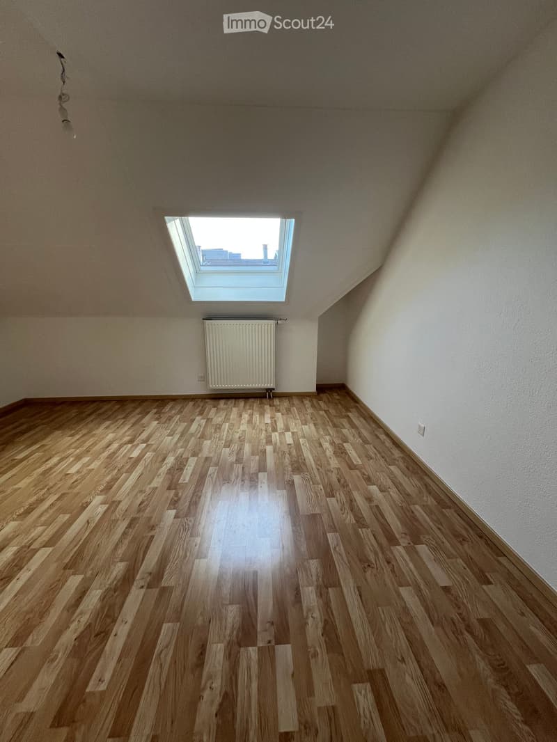 empty room, wooden floor, white walls, white radiator, white socket, skylight