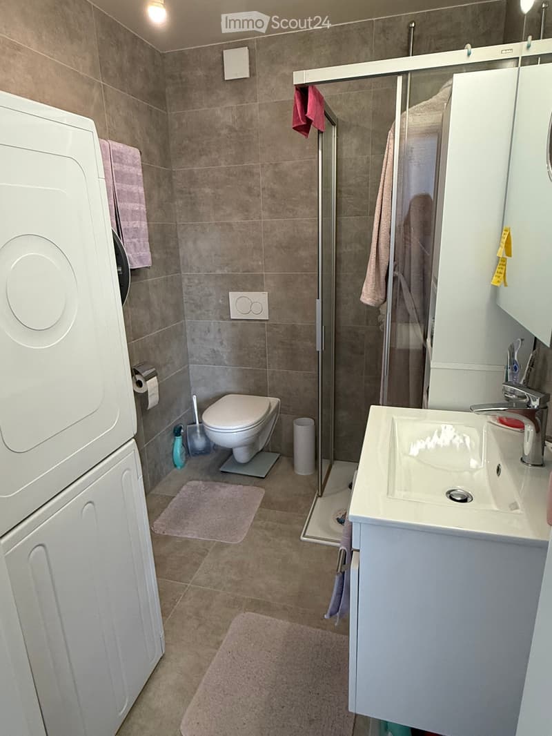 Modern bathroom with a toilet, sink, mirror, washing machine, shower, and towels.