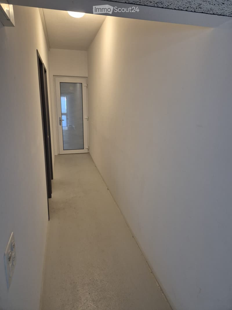 A narrow, carpeted hallway with white walls and a single door at the end, featuring a light fixture on the ceiling and an electrical outlet on the left wall.