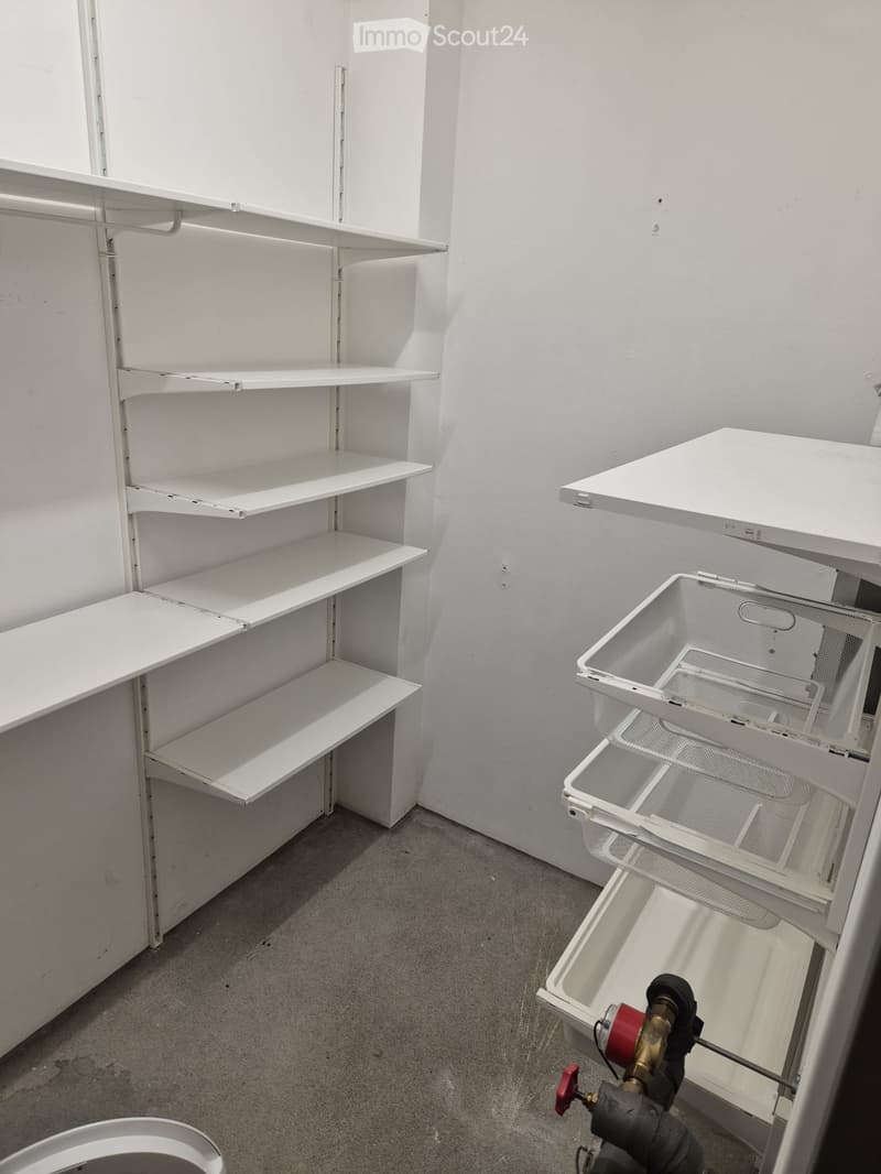 Empty room with white shelving units and a wire basket, showing a clean and organized space with no furniture or personal items.