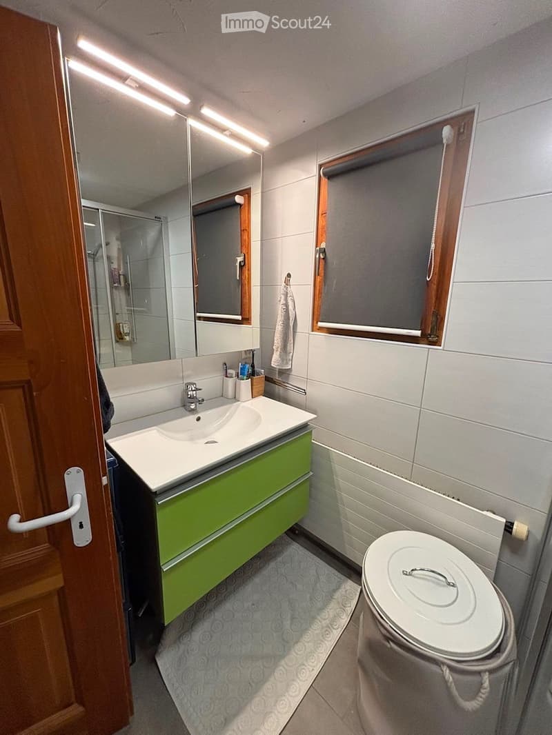 Modern bathroom with a white sink, green cabinet, large mirror, toilet, and a window with blinds. The floor has a patterned rug, and a towel hangs on the wall.