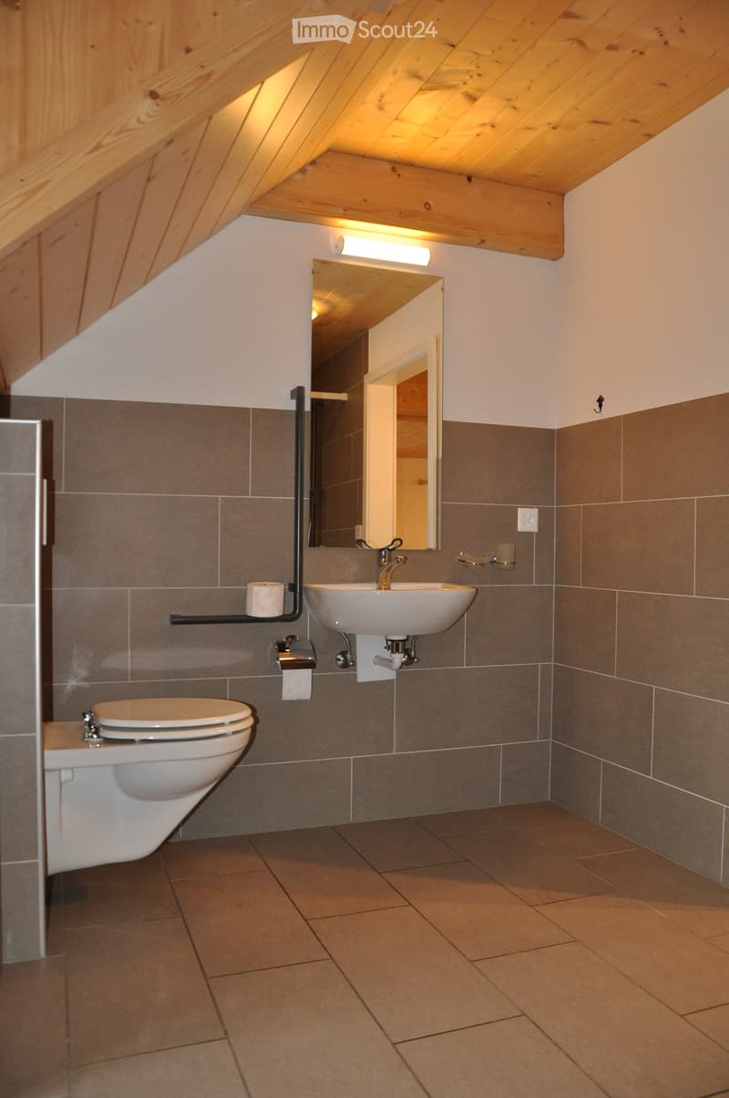 Modern bathroom with grey tiled walls, a white toilet, a sink with a chrome faucet, and a mirror above the sink. The ceiling is wooden with built-in lighting.