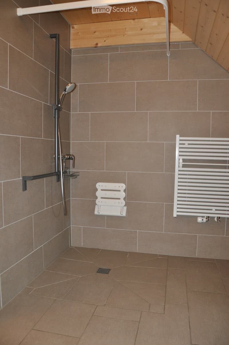 Modern bathroom with tiled walls and floor, featuring a shower with a handheld sprayer, a built-in radiator, and a handrail for safety.
