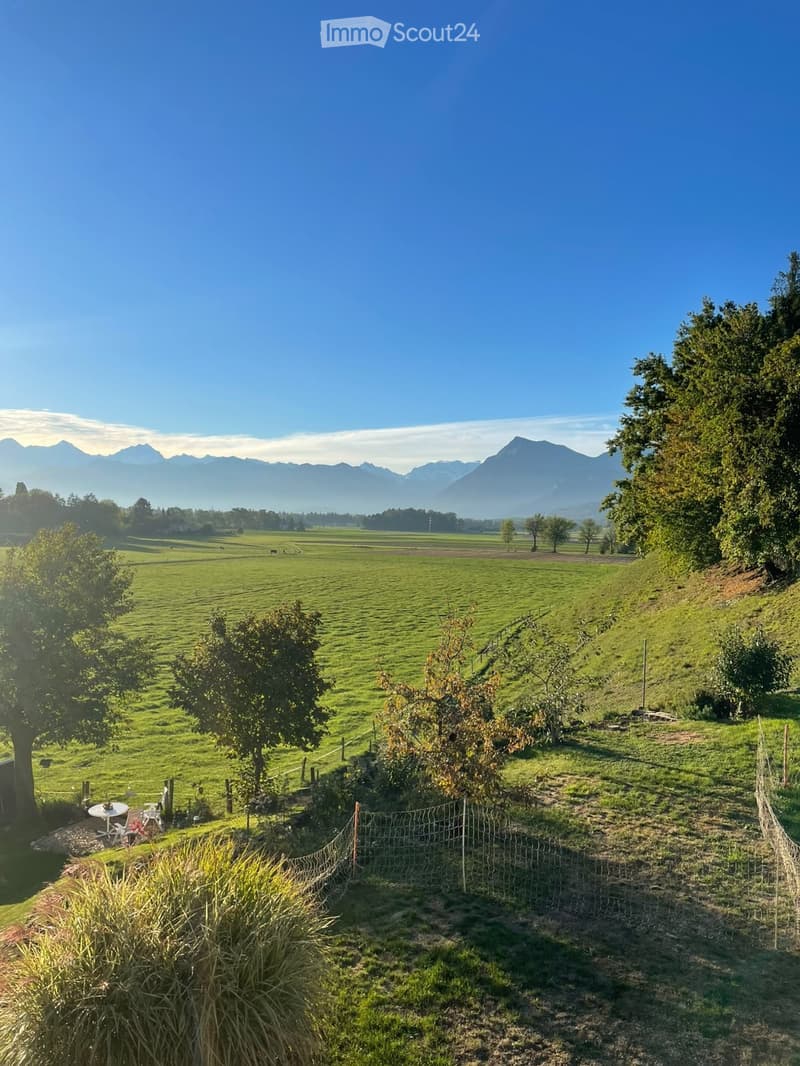 A peaceful garden area with a fenced section, a small table and chairs, surrounded by lush green grass and trees, with a scenic mountain view in the background.