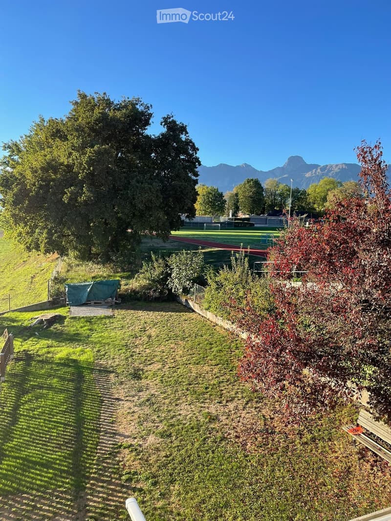 A well-maintained garden area with a grassy lawn, a covered object, a pathway, and distant mountains visible in the background.