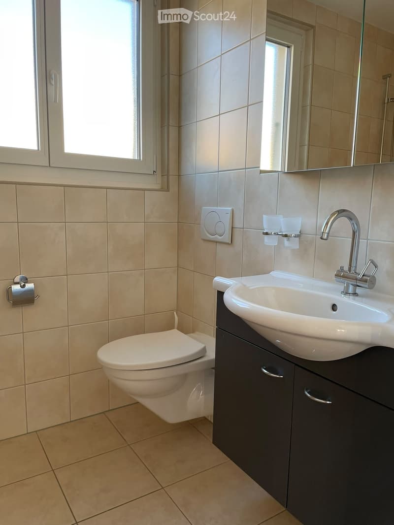 Modern bathroom with beige tiles, a white toilet, a sink with a chrome faucet, a dark wooden cabinet, and a mirror above the sink.
