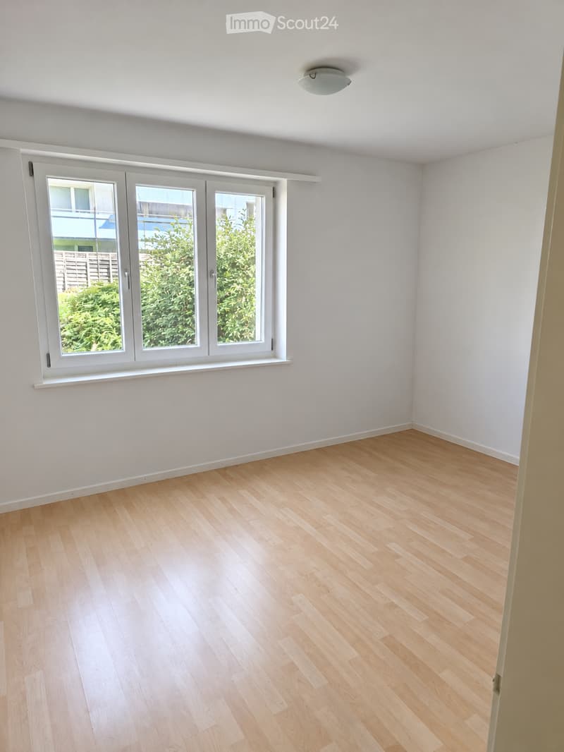 Empty room with light wooden flooring and white walls, featuring a large window with white frames and a simple ceiling light fixture.