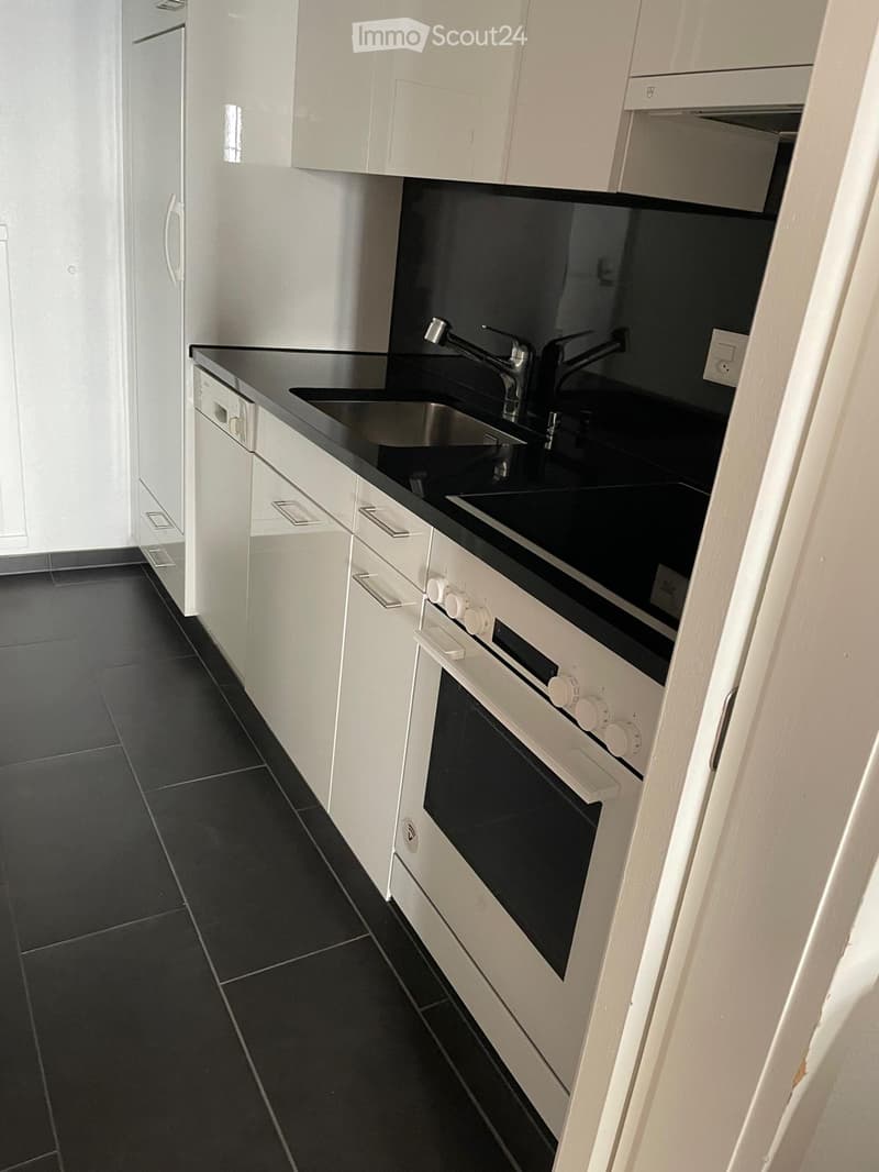 Modern kitchen with white cabinets, black countertops, stainless steel sink, and built-in oven.