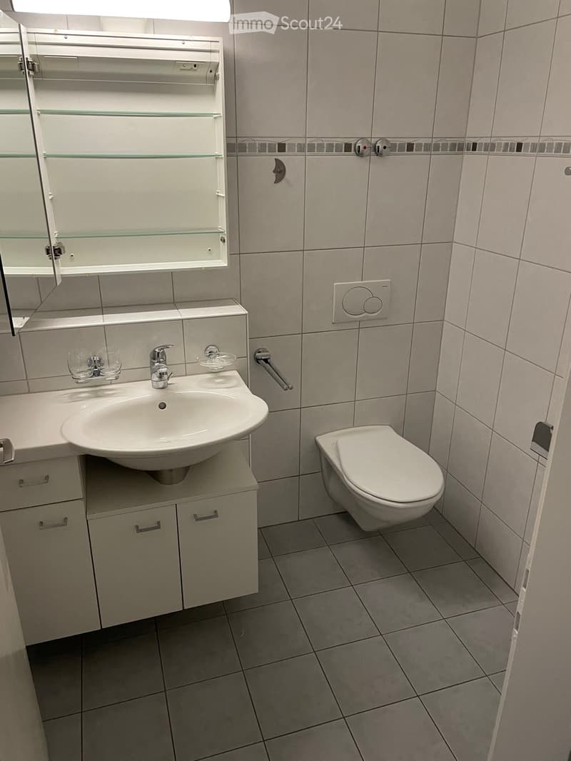 Modern bathroom with a white sink, faucet, mirror cabinet, and toilet. Grey tiled walls and floor.