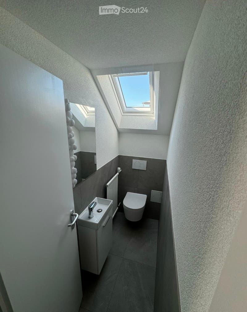 Modern, compact bathroom with a white sink, toilet, radiator, and skylight window providing natural light.